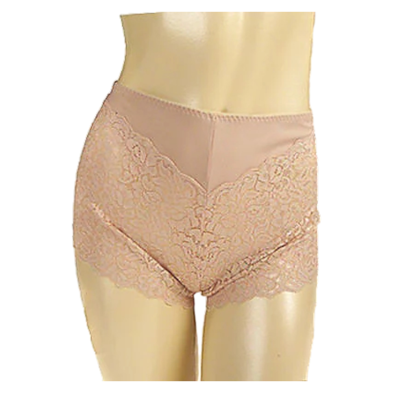 Carol Wior One Pair Lace Boy Shorts QVC A13760 NUDE Size XL (18W-20W)