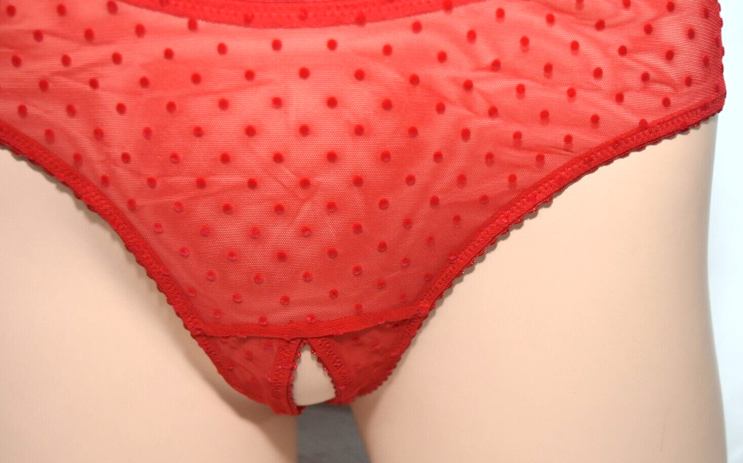 NWT Victoria’s Secret Red Mesh Crotchless High Leg Cheeky Bikini Panty L Large
