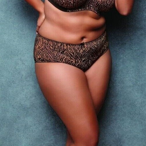 Size XL(16) | Goddess Kayla Tiger High Rise Knickers/Briefs | GD6168 | RRP £19