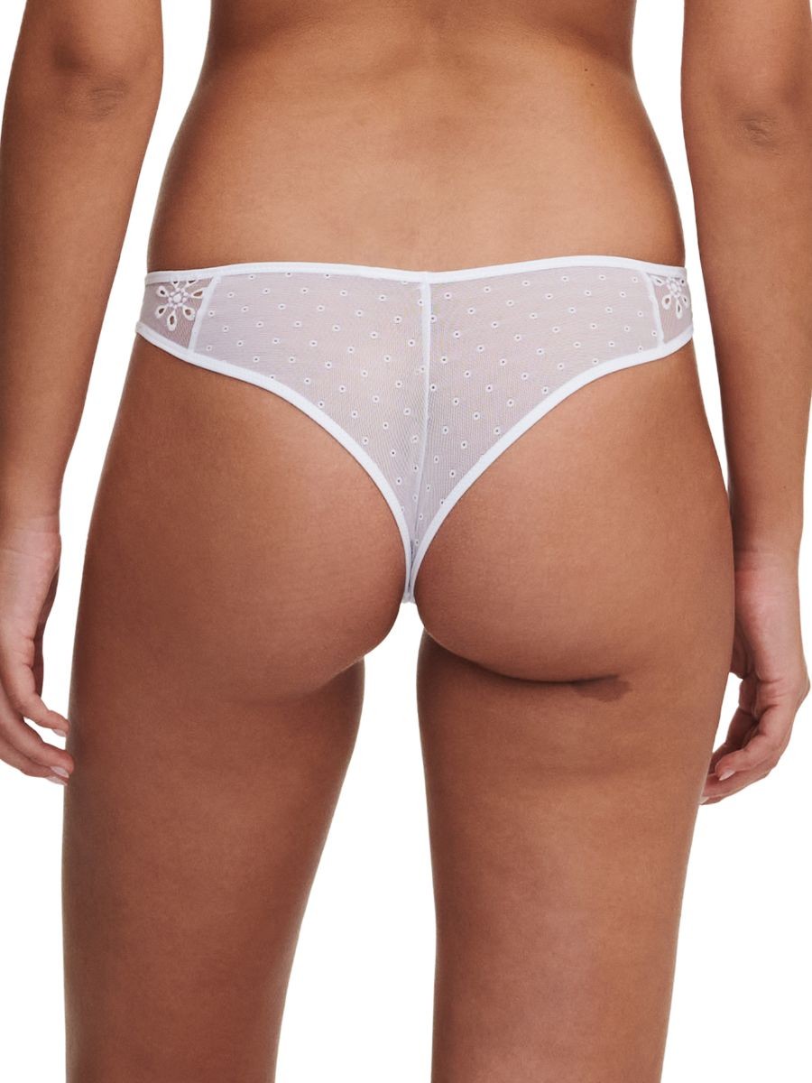 M (12) Passionata by Chantelle Prisca Briefs Mid Rise Tanga Knickers Lingerie