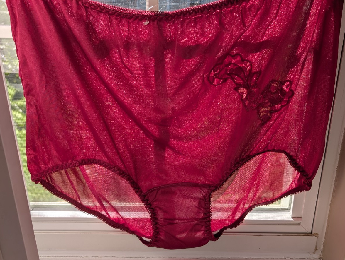 2 pr CONTESSA 100% Nylon Brief Panties Lace Floral Applique Sz 12 Burgundy NWOT