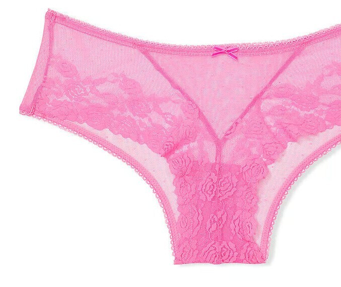 M Spring Taffy Pink Rose Floral ALL MESH Dot Victorias Secret CHEEKY Brief Panty