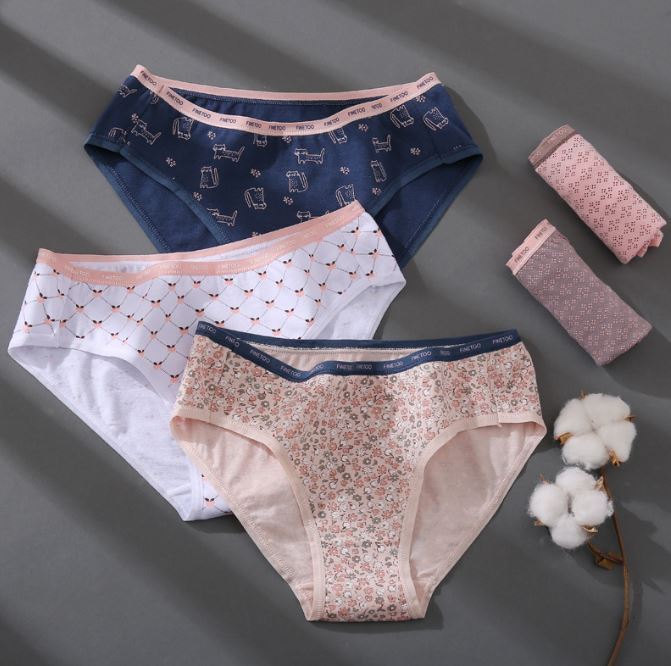 5 Pack Lot Ladies Womens Sexy Panties Underwear Brief Comfortable Lingeries Soft