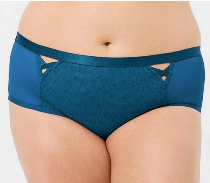 Torrid Size 00 Teal Mid Rise Cheeky Lace Animal Print
