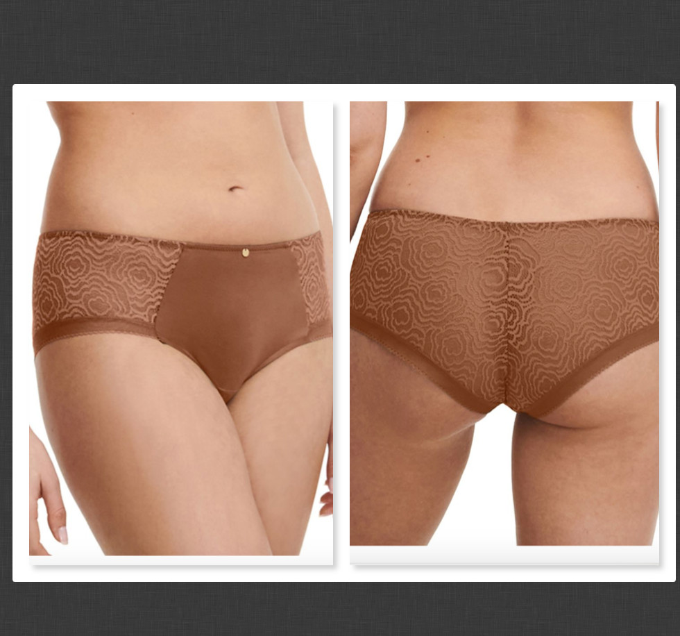 NEW Chantelle C Jolie Lace Hipster Color TABAC Size S