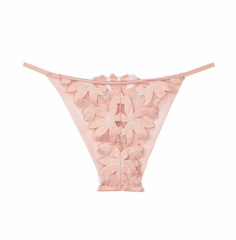Victorias Secret LUXE Lingerie BRAZILIAN Panty High Cut VS Floral Embroidery NWT