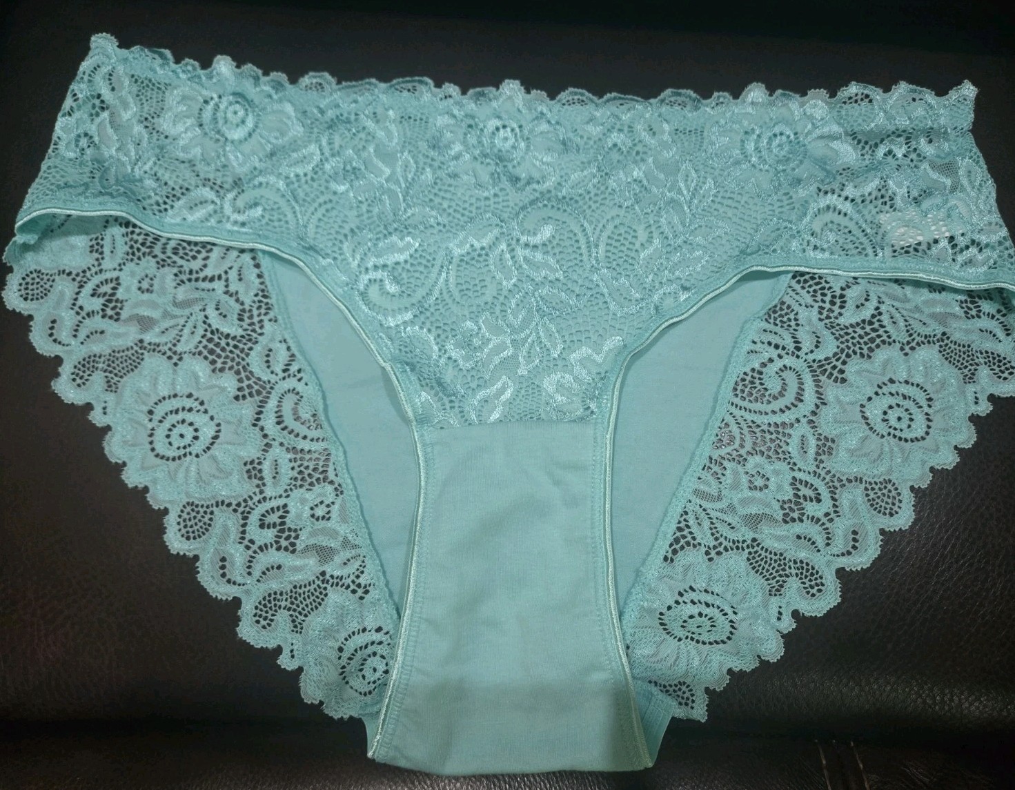 Retro Chic Women’s Sheer Sexy Lace Ladies Mid-Rise Floral Brief Panty Nwot