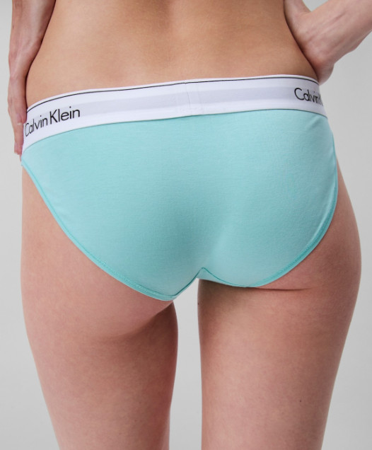 Calvin Klein Underwear Modern Cotton Stretch Bikini Panty Women’s SIZE XS