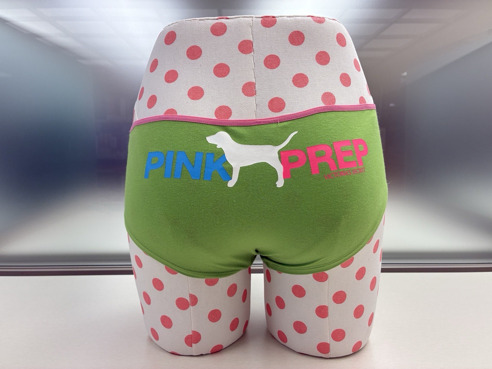 Victoria’s Secret 2006 PINK PREP Dog Logo y2k panty hipster Small S NWT Vintage