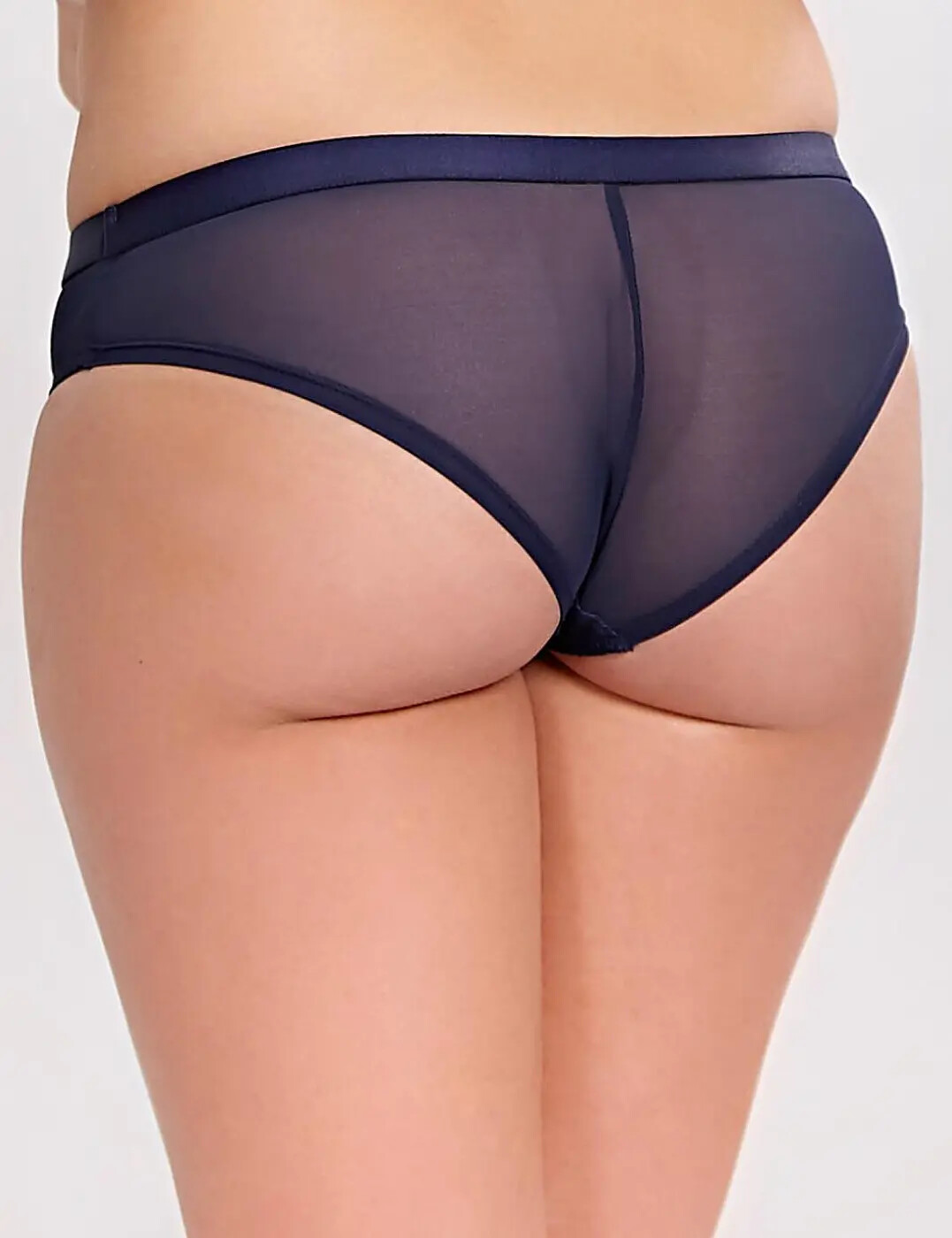 CLEO by Panache Womens Spencer Brazilian Brief Panty 9662