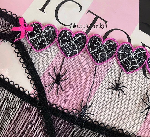 NWT Victorias Secret PINK EMBROIDERED SPIDERWEB MESH HALLOWEEN WINK CHEEKY PANTY