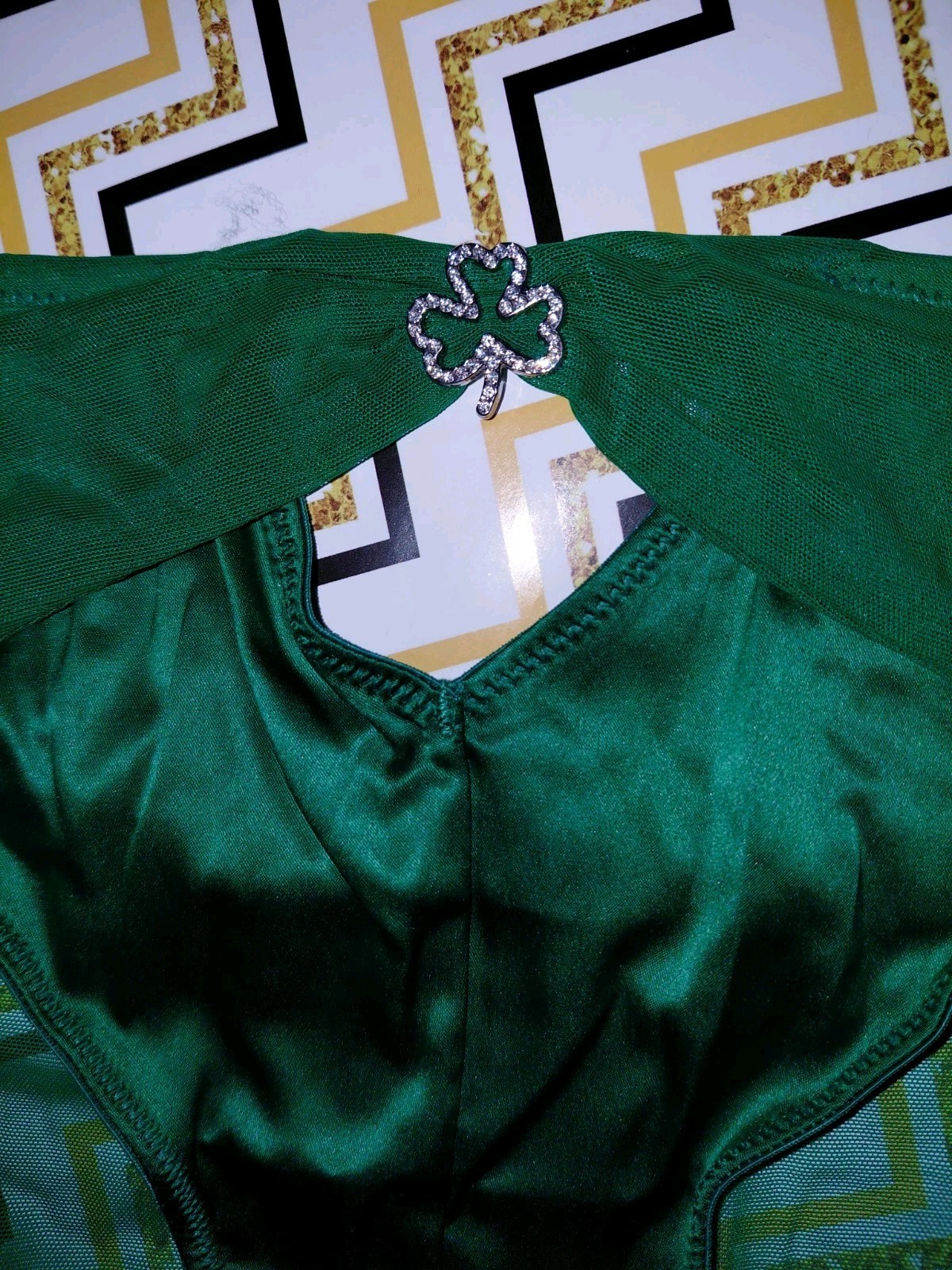 Adore Me/VS Mesh Ruched Bk Shamrock Charmed Cheeky Panty NEW Green