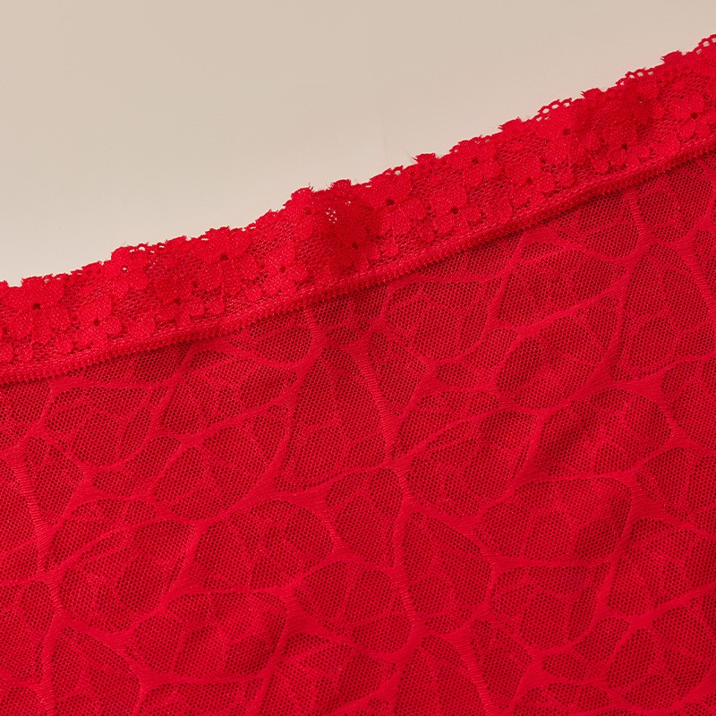 5 Pack Lot Sexy Womens See Through Lace Panties Boyshorts Underwear Lingeries