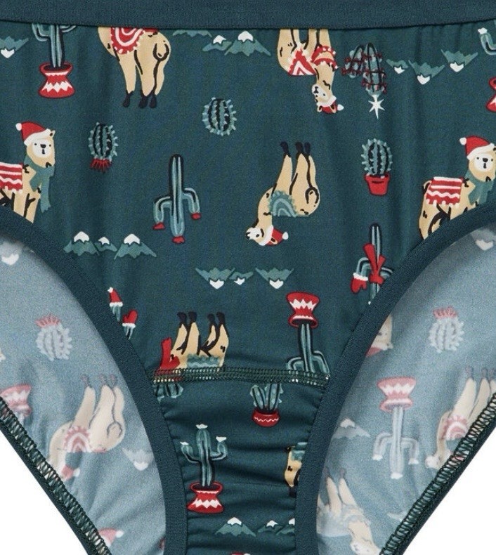 Duluth Women’s Armachillo Cooling Underwear Brief/ Llama Print Size 2X (20w-22w)