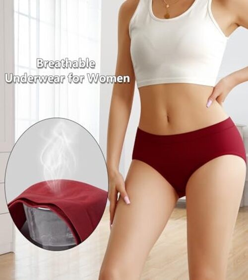 Women’s Underwear Wicking Stretch Hipster Panties X-Large-XX-Large Multicolor