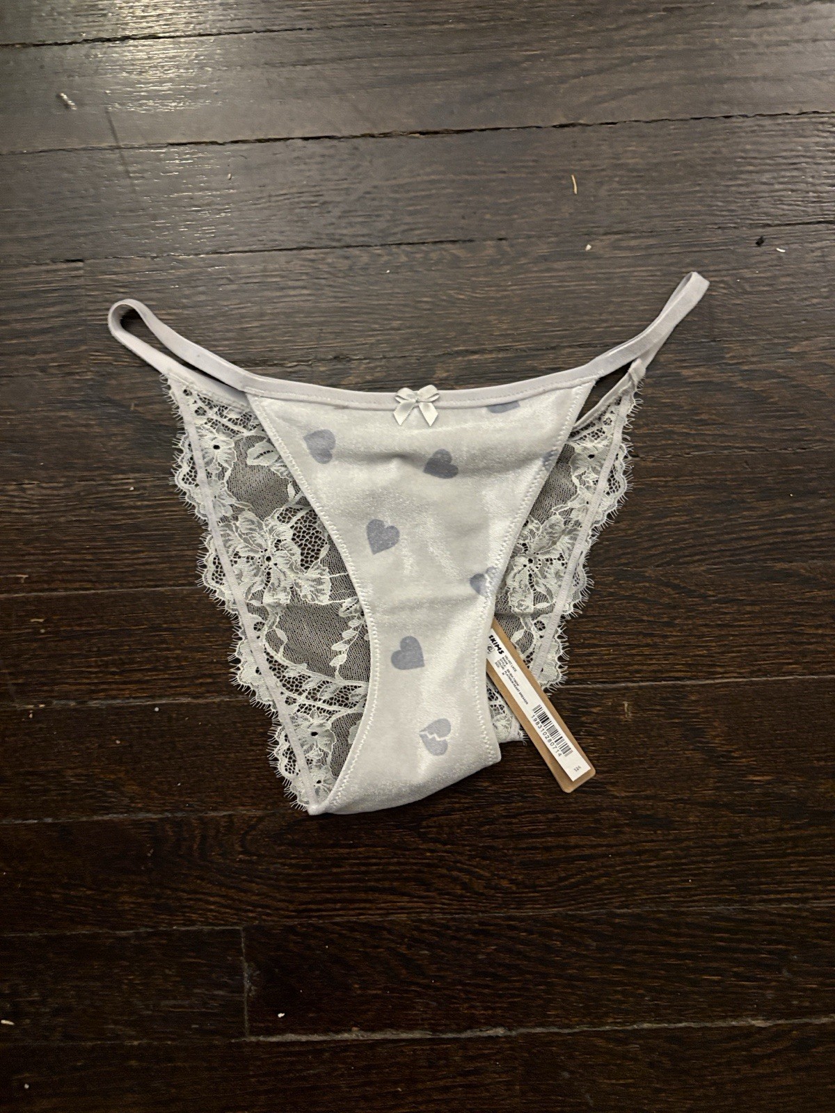 Skims Platinum Heartbreaker Velvet Lace Bikini Panty Blue M NWT