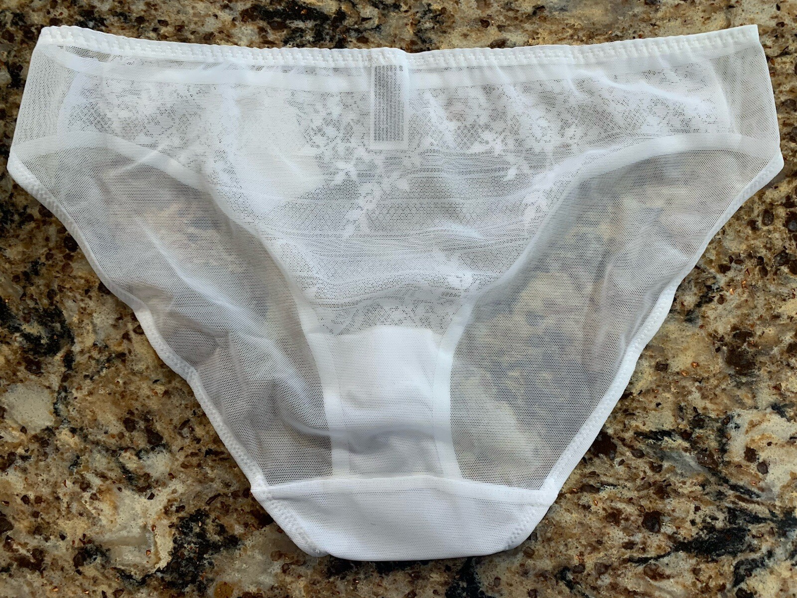 WACOAL 64391 ~ WHITE ~ EMBRACE LACE SEMI SHEER BIKINI PANTIES ~ SIZE XL