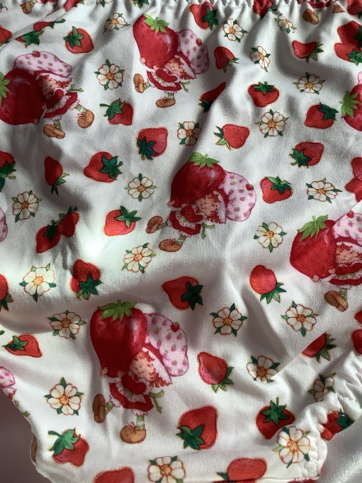 Strawberry Shortcake Licensed Women’s Teen Kawaii Bikini Panties Ruffle Medium