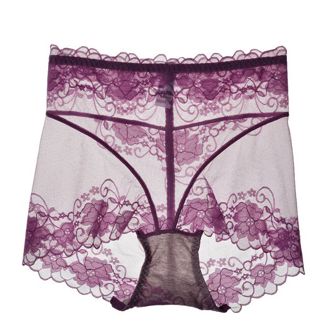 5 Pack Lot Sexy Womens Sheer Lace Panties Briefs See Through Underwear Lingeries