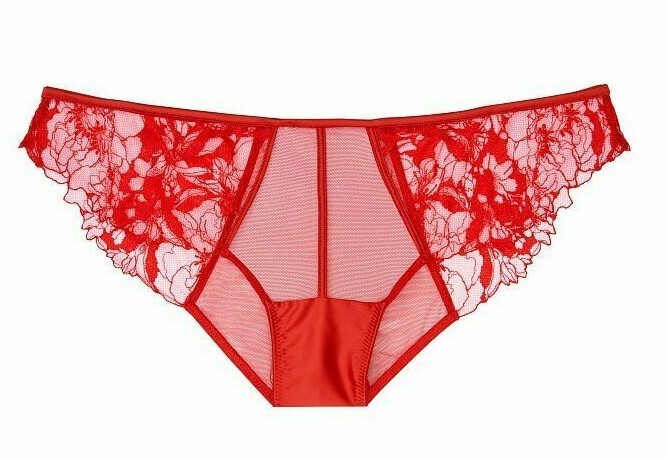 Victoria’s Secret Very Sexy Mesh & Lace Cheeky Panty sz S red