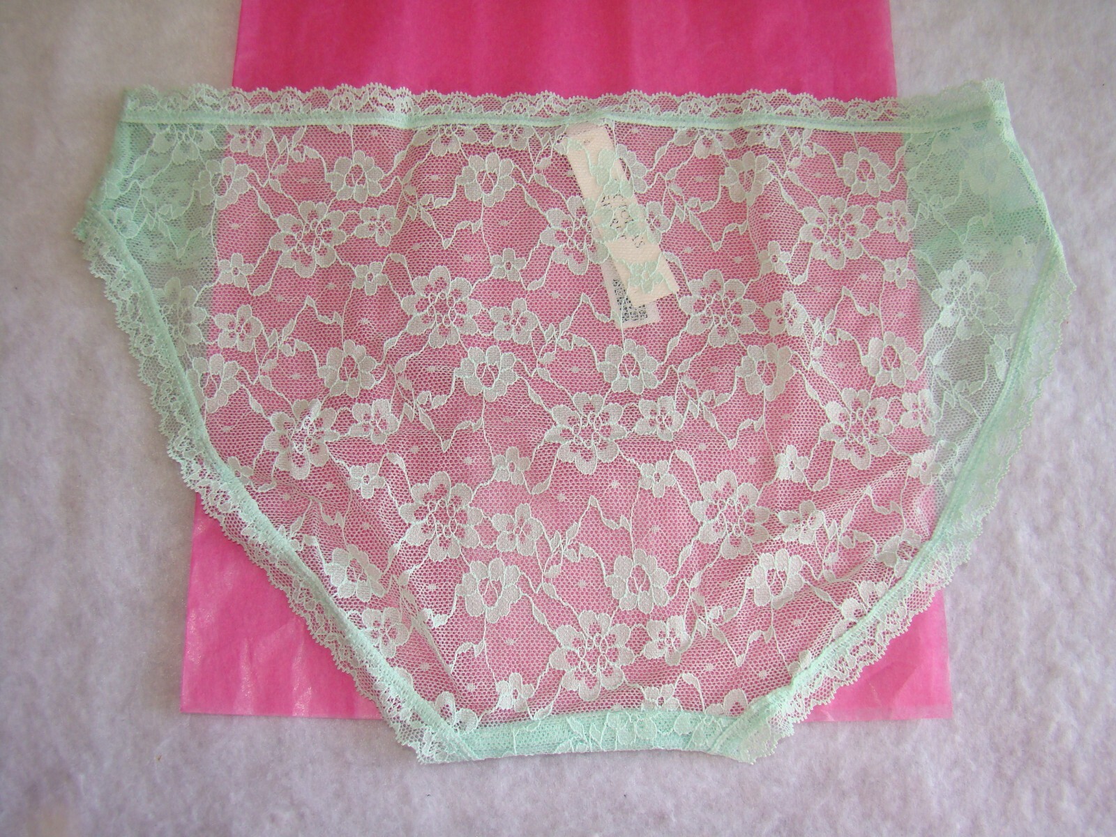 New Victoria’s Secret Pastel Green Floral Lace with Lace Trim Bikini Panty