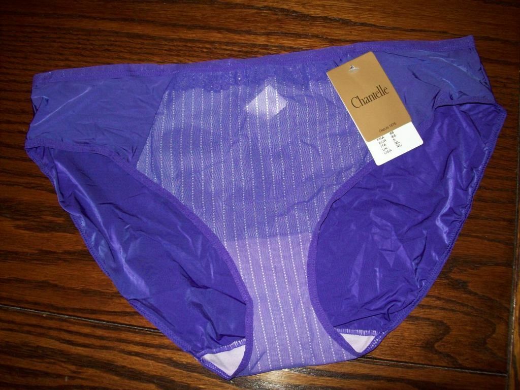 NWT CHANTELLE 1143 IG BIKINI PANTIES SHEER INSET PANEL PURPLE IRIS XL