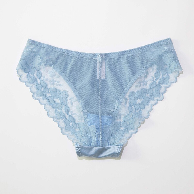 5 Pack Lot Sexy Womens Sheer Satin Panties Lingeries Brief See Through Underwear