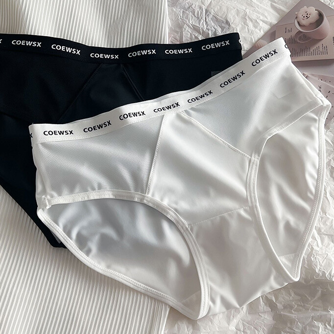 1/6 Pack Lot Womens Seamless Silky Panties Brief Sheer Nylon Underwear Lingeries