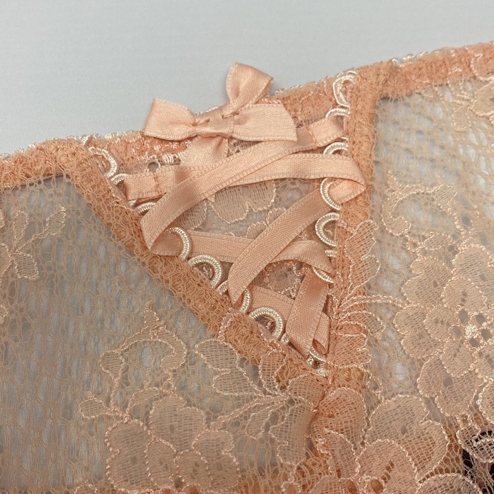 Agent Provocateur Peachy Brief AP4 Large NWT