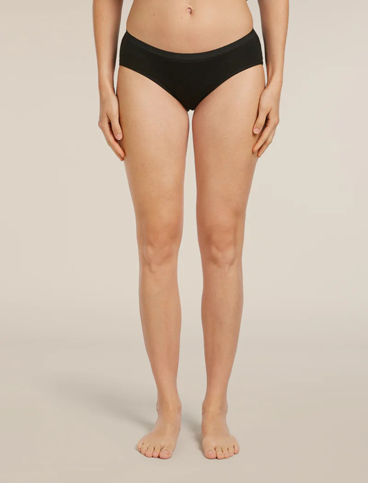 NWT icebreaker Women’s Merino 150 Siren Hipkini 2 Pack