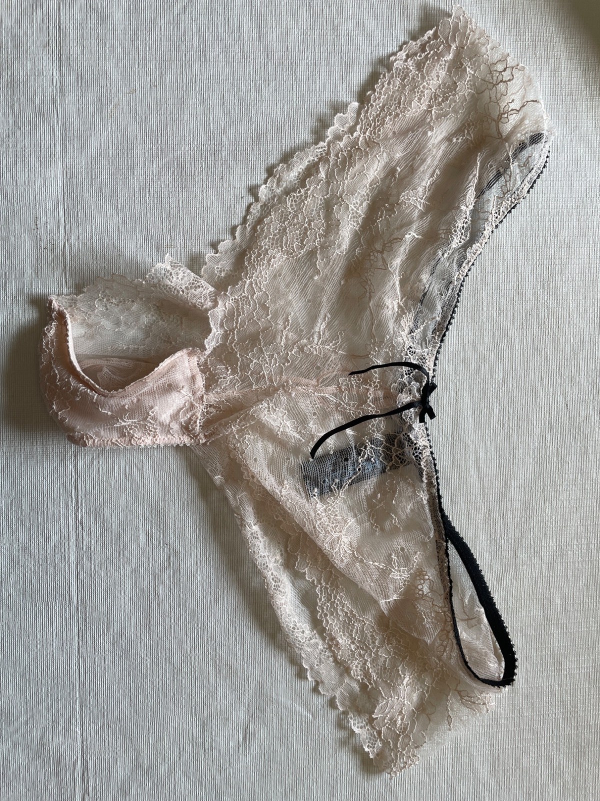 Elle Macpherson Intimates Womens Lace-Trimmed Sheer Panties In Blush Pink