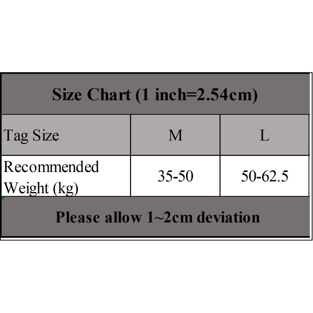 Women’s Lace Mesh See through Briefs Low Rise Panties for Home Sleep and Travel