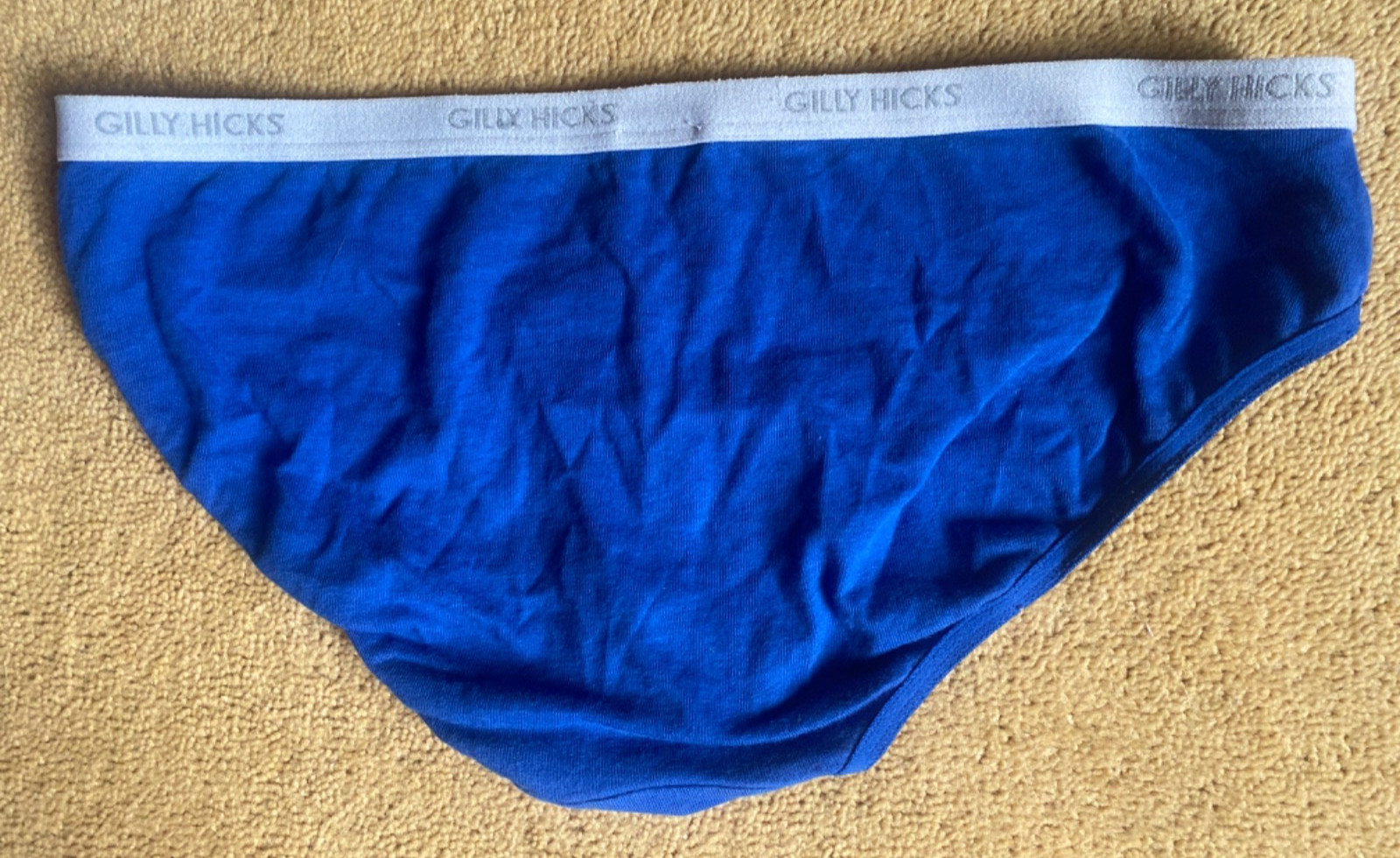Gilly Hicks knickers Size S would fit Uk 4 or 6 bikini style logo