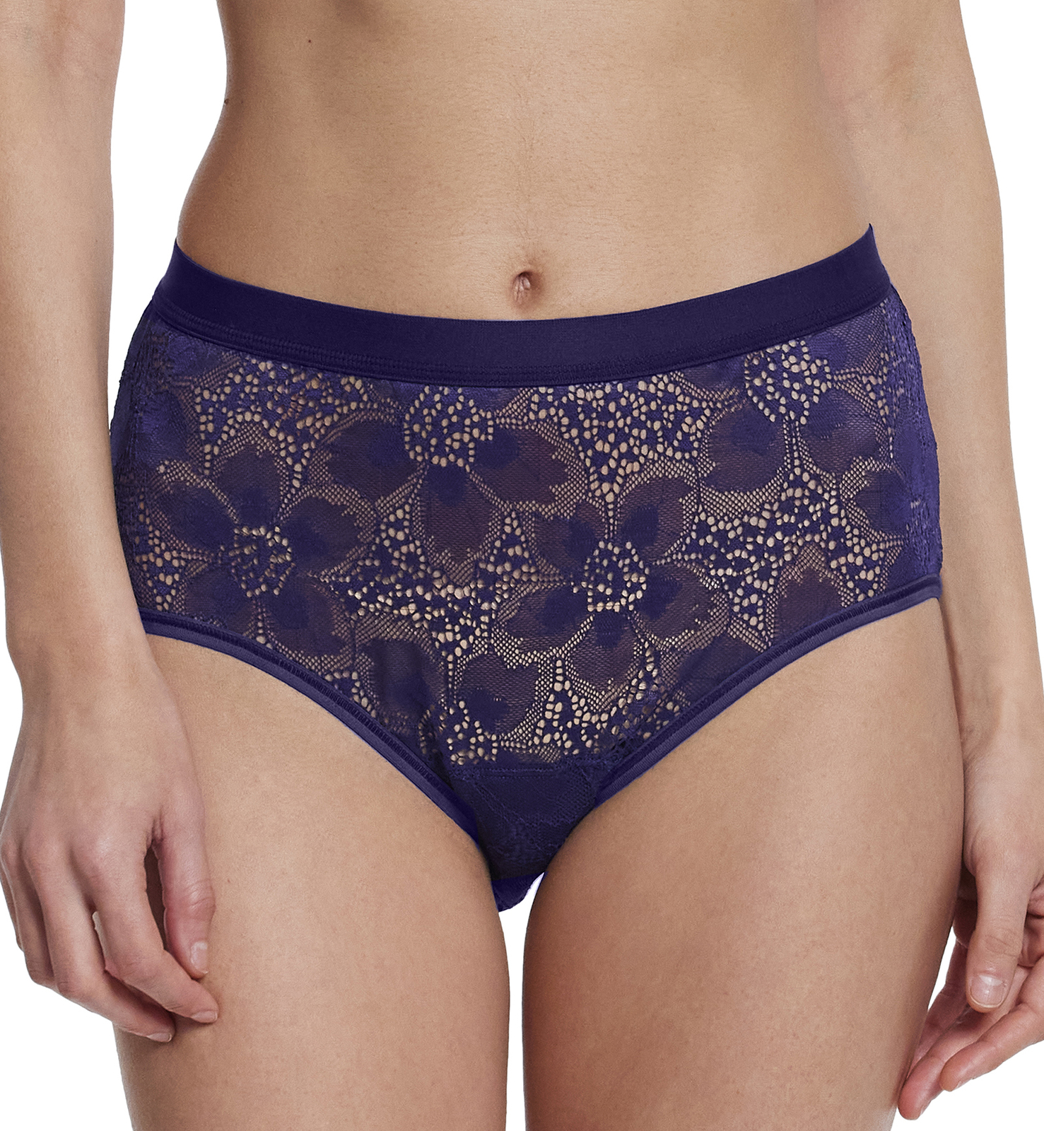 Hanky Panky Tropical Storm Cheeky High Waist Panty (3D2442)