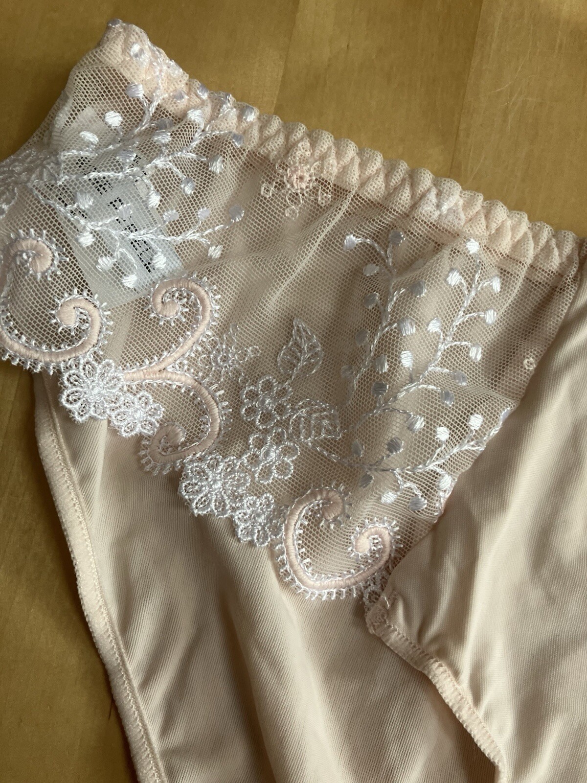 Simone Pérèle DELICE Rio Briefs 12X720 383 Powder Size 2 (small) BNWT