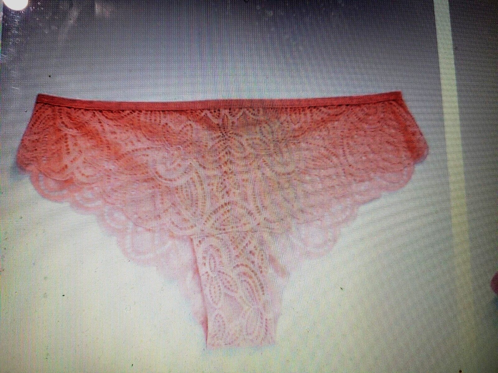 8/XL OLD NAVY SeXy Lace Pink Oyster Cheeky Thong Underwear Panties NWT