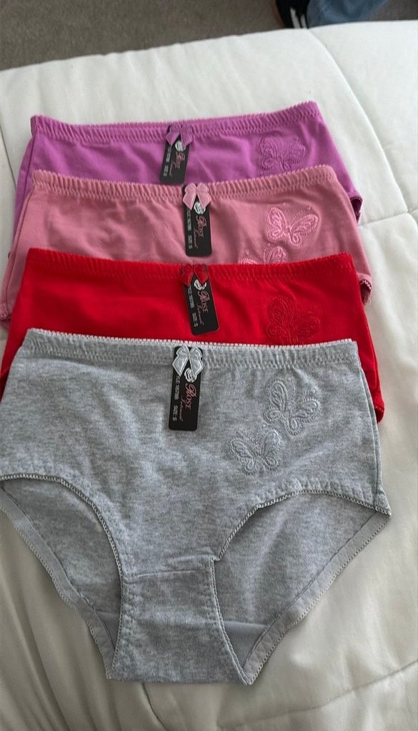 Lot of 4 New Butterfly Embroidered Women’s Cotton Briefs, Size S