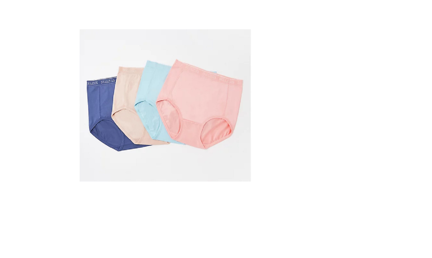 Breezies Set of 4 Nylon Microfiber Brief Panty-Honey Peach-Large-NEW-A287799