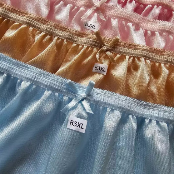 Bikini Panties 8 Pcs. Pack Woman Underwear Nylon Comfortable Hip 38-54″ Size XXX