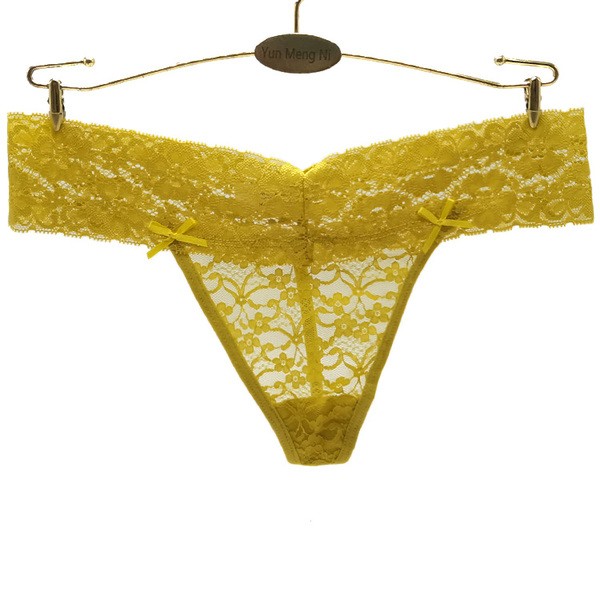 6 x Womens Sheer Nylon Briefs – Assorted Colours Underwear Undies 87420