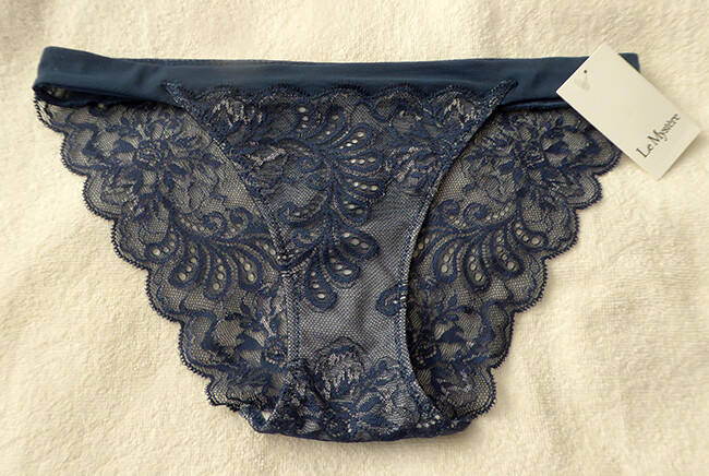 NWT Le Mystere size US 6 Sophia lace Bikini Panty Eclipse blue gray