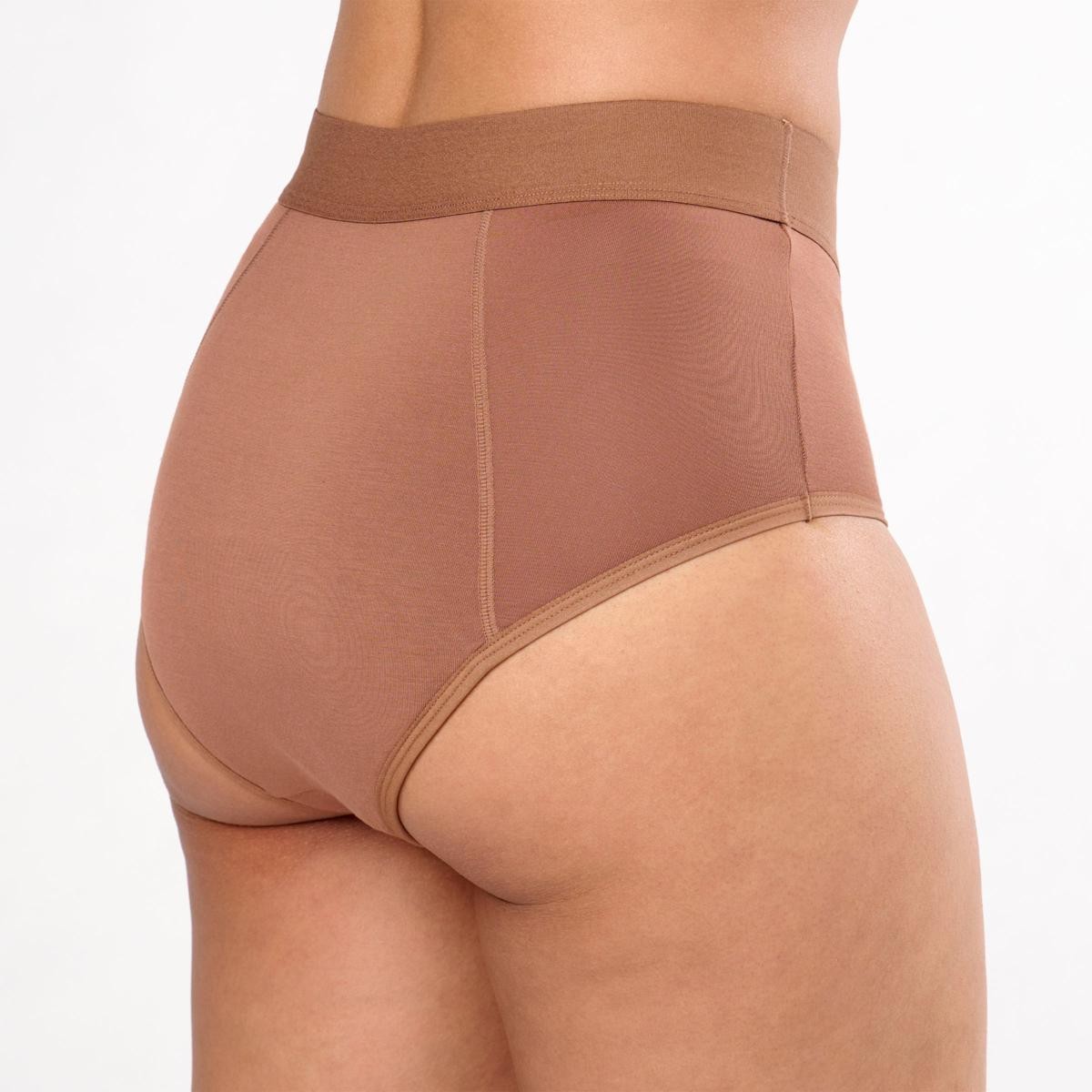 Rhonda Shear 3-pack Shear Protection Leak-Resistant Bamboo Brief Black