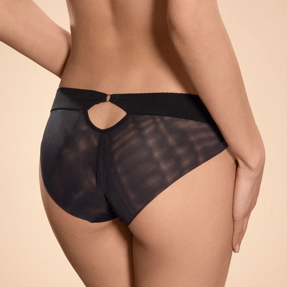 Sheer Mesh Peek A Boo Bikini Panty Ajour Folies Bergere