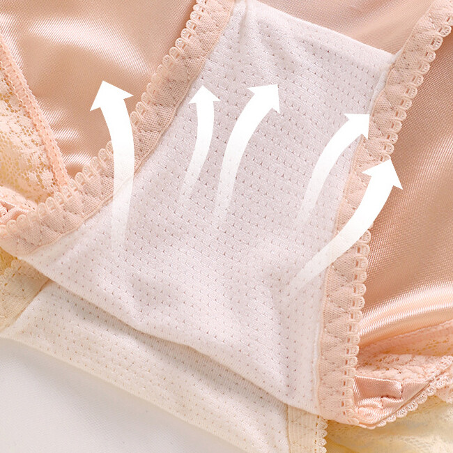 5PCS/LOT Sexy Womens Silky Satin Panties Brief Ladies Lace Underwear Lingeries
