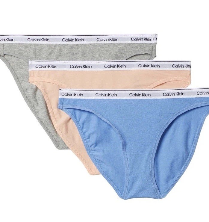 Calvin Klein womens Modern Logo Bikini (3) Size XL NWOT