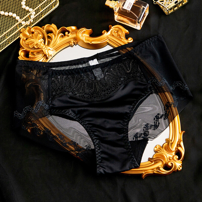 5 Pack Lot Sexy Womens Satin Panties Underwear Sheer See Through Briefs Lingerie