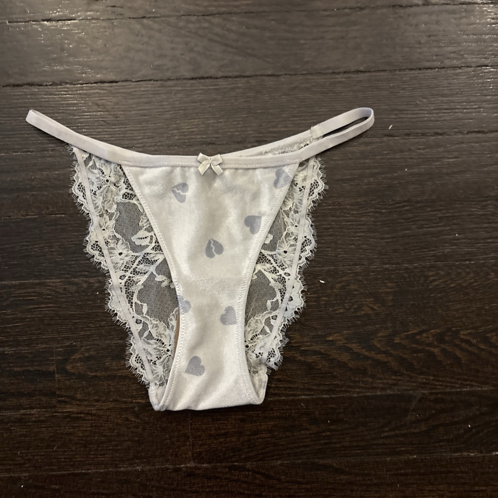 Skims Platinum Heartbreaker Velvet Lace Bikini Panty Blue M NWT