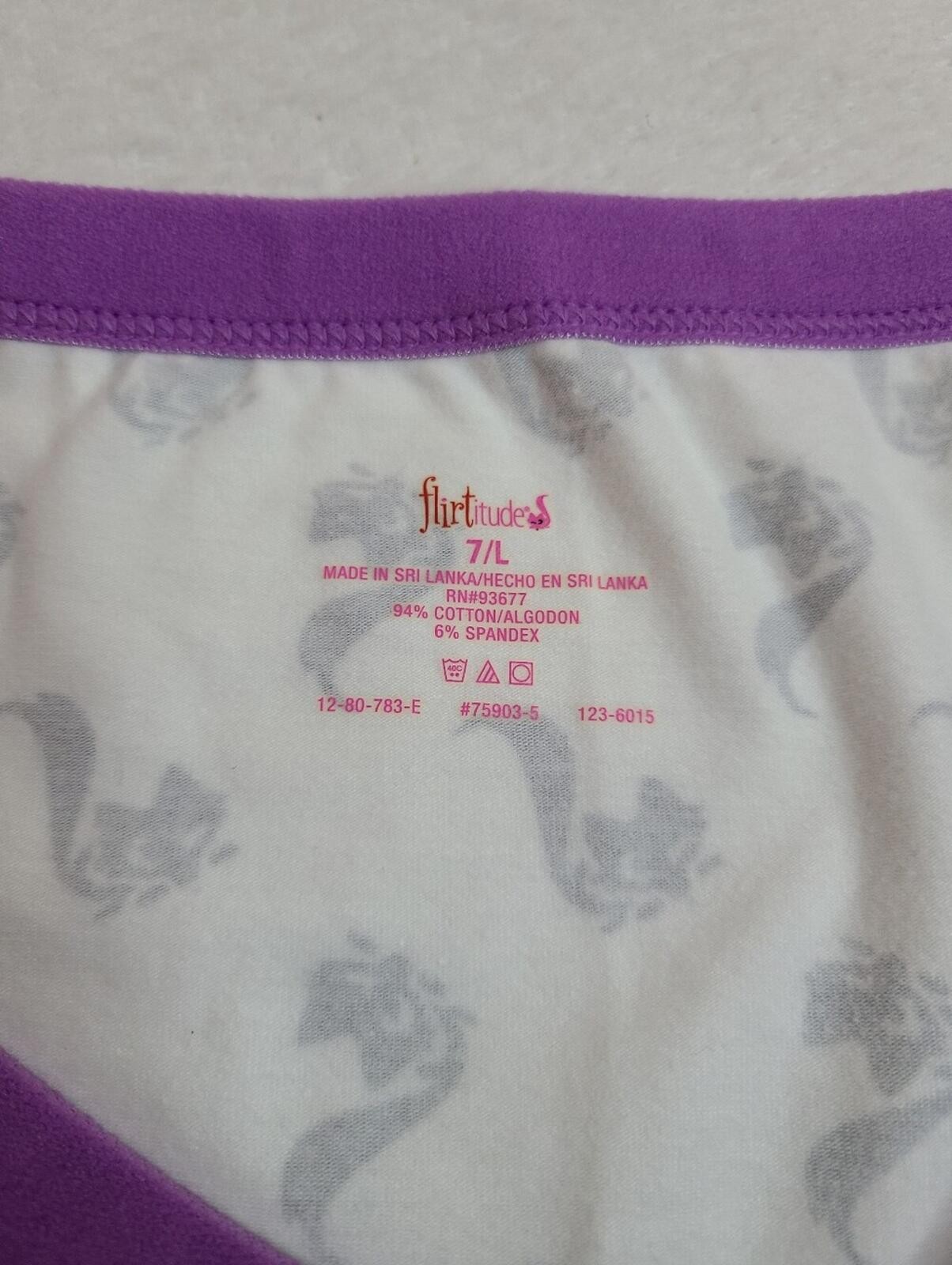 Vintage Y2K Flirtitude Graphic Cotton Colorblock Hipster Panty Size Lg