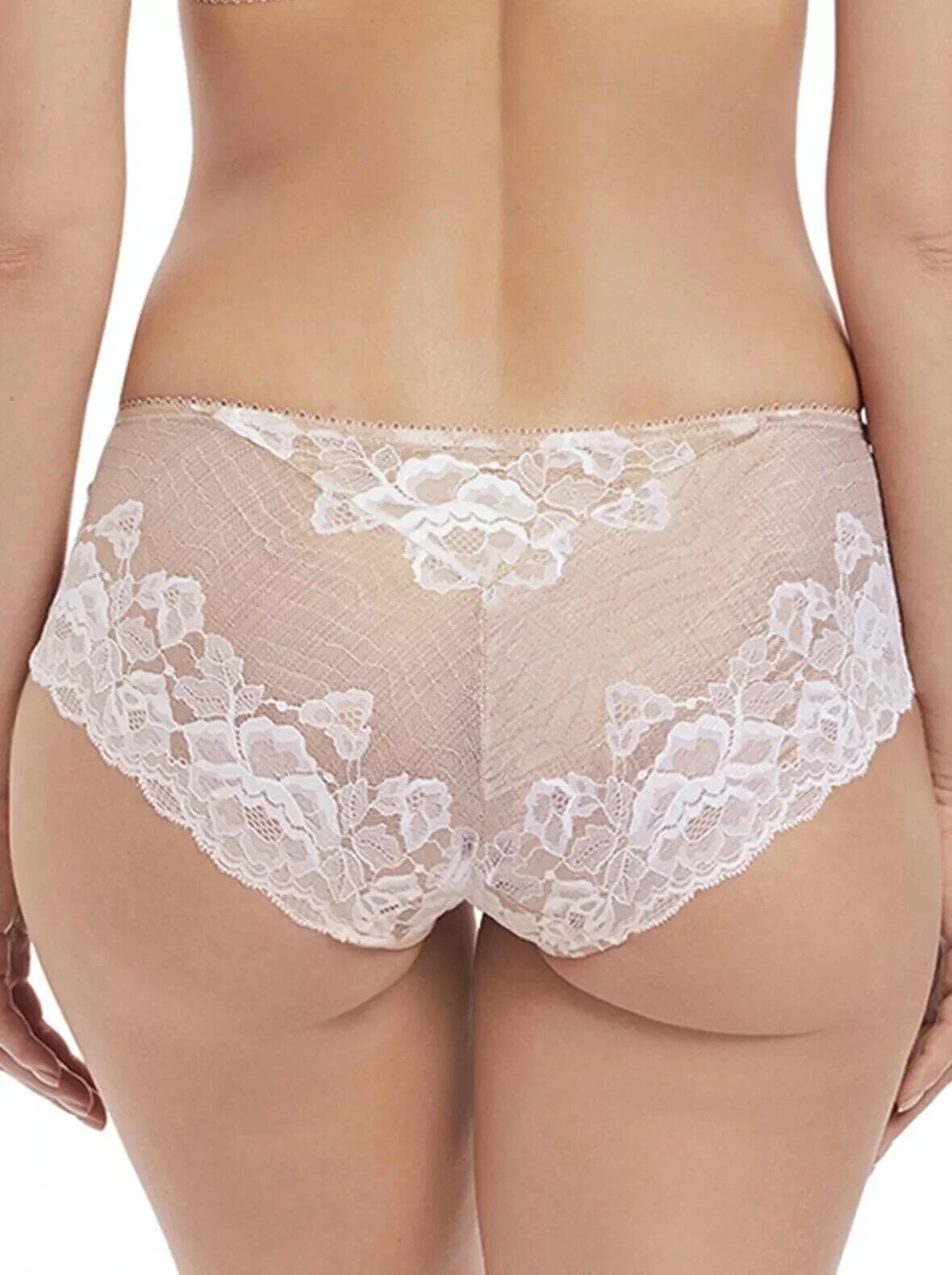 Fantasie Marianna Short Brief Size S 10 12 Latte Beige White Lace Knickers 9206