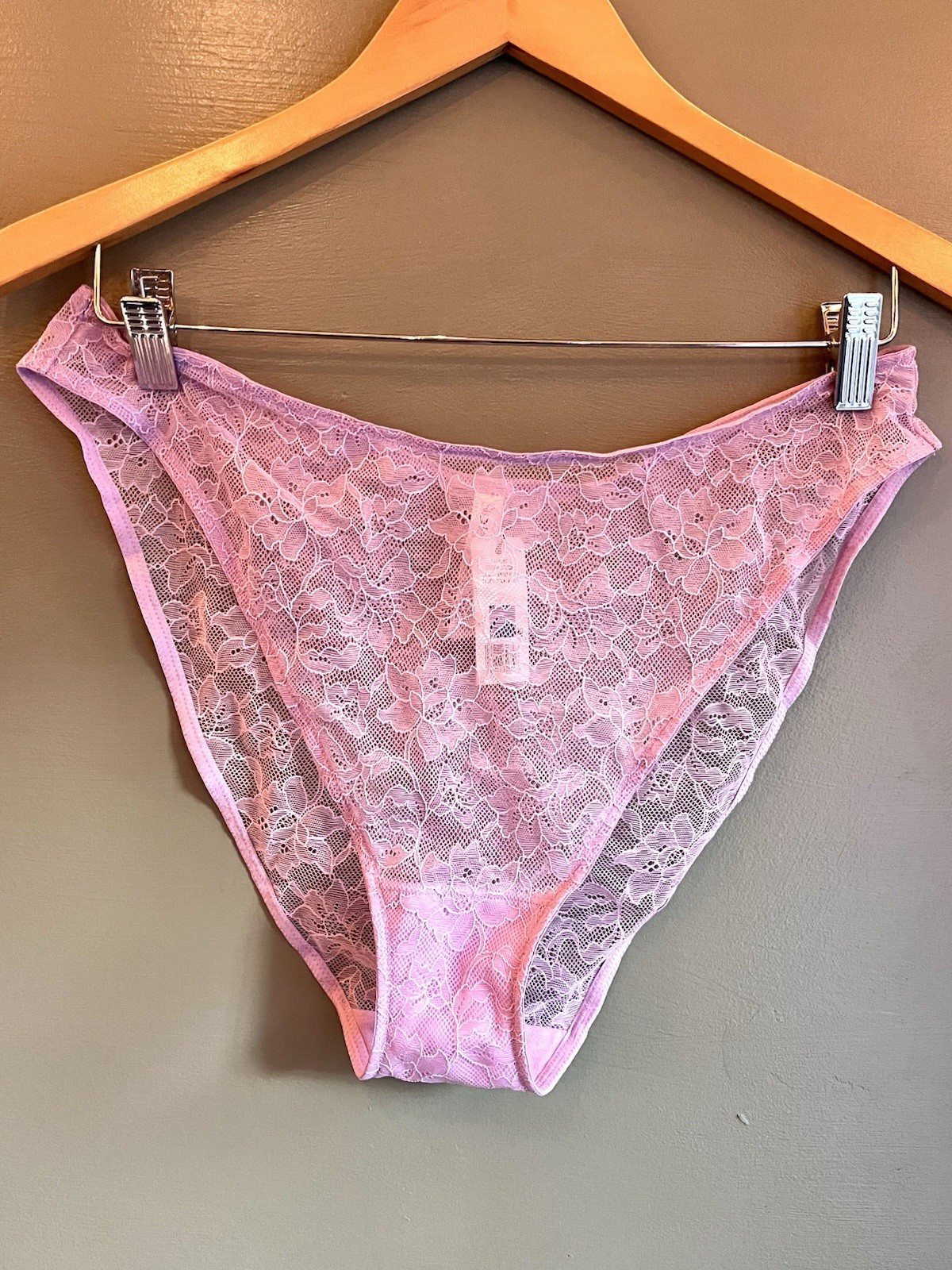 Skarlett Blue Paradise High Cut Bikini Panties Xl Sweet Plum NWT